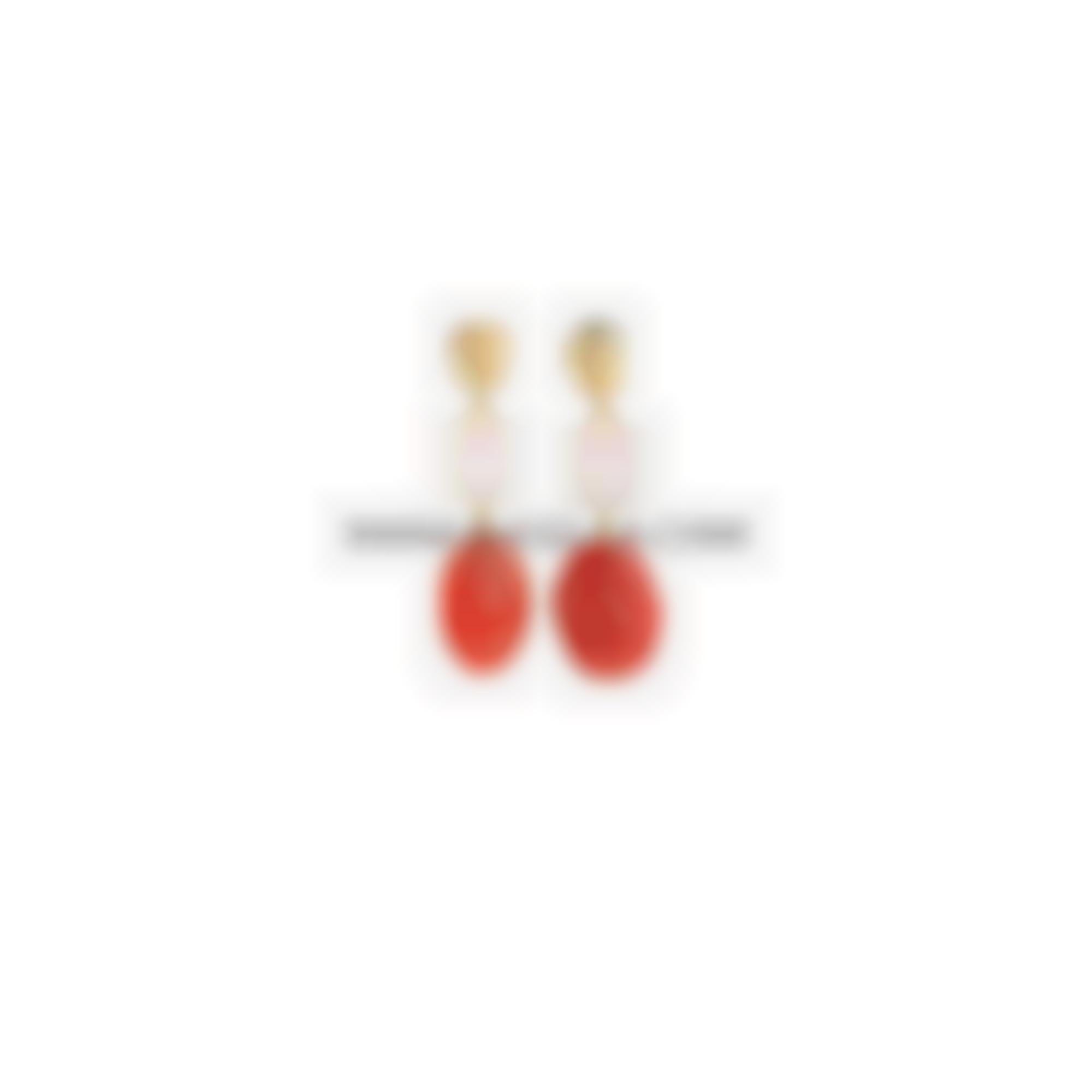 Earrings set in silver with natural coral and stones